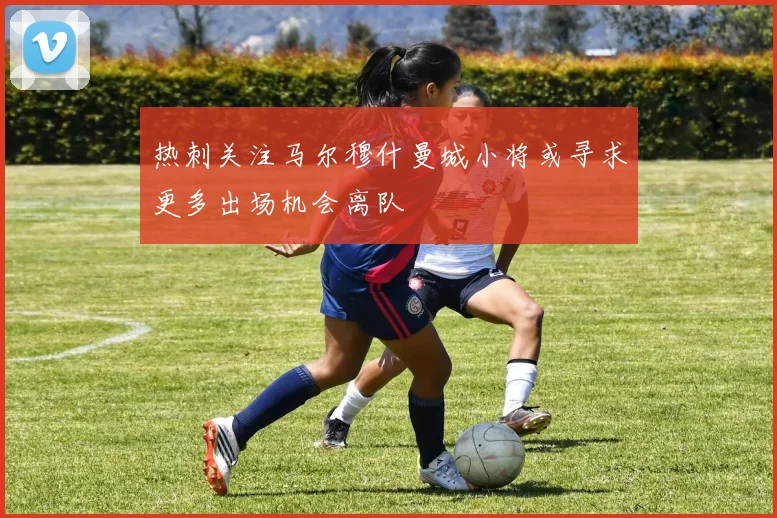 热刺关注马尔穆什曼城小将或寻求更多出场机会离队