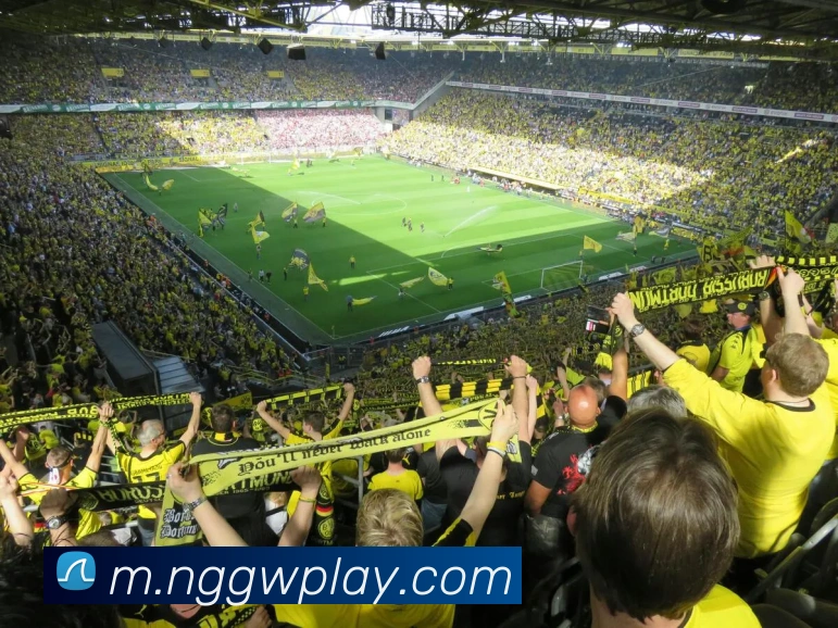 App Interface Preview