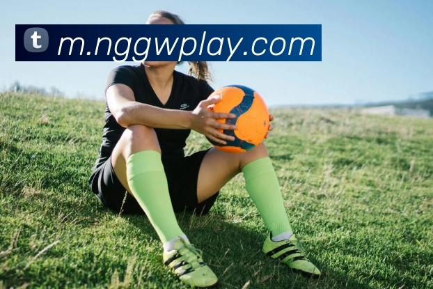 NG体育APP 封面图